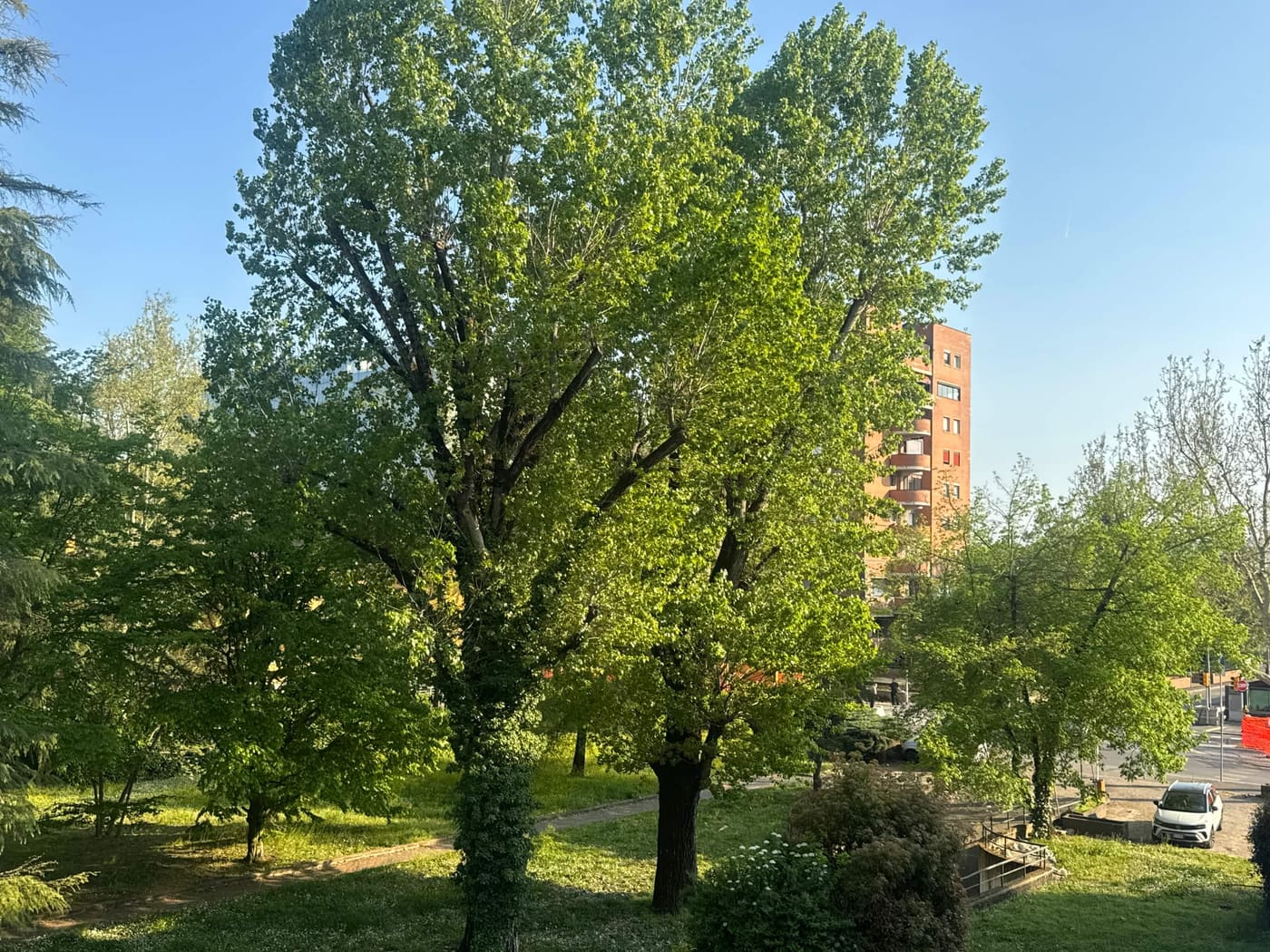 Il verde di Borgo Panigale